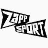 What could Zappsport buy with $540.6 thousand?