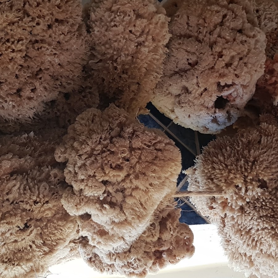 Morning Glory - YouTube