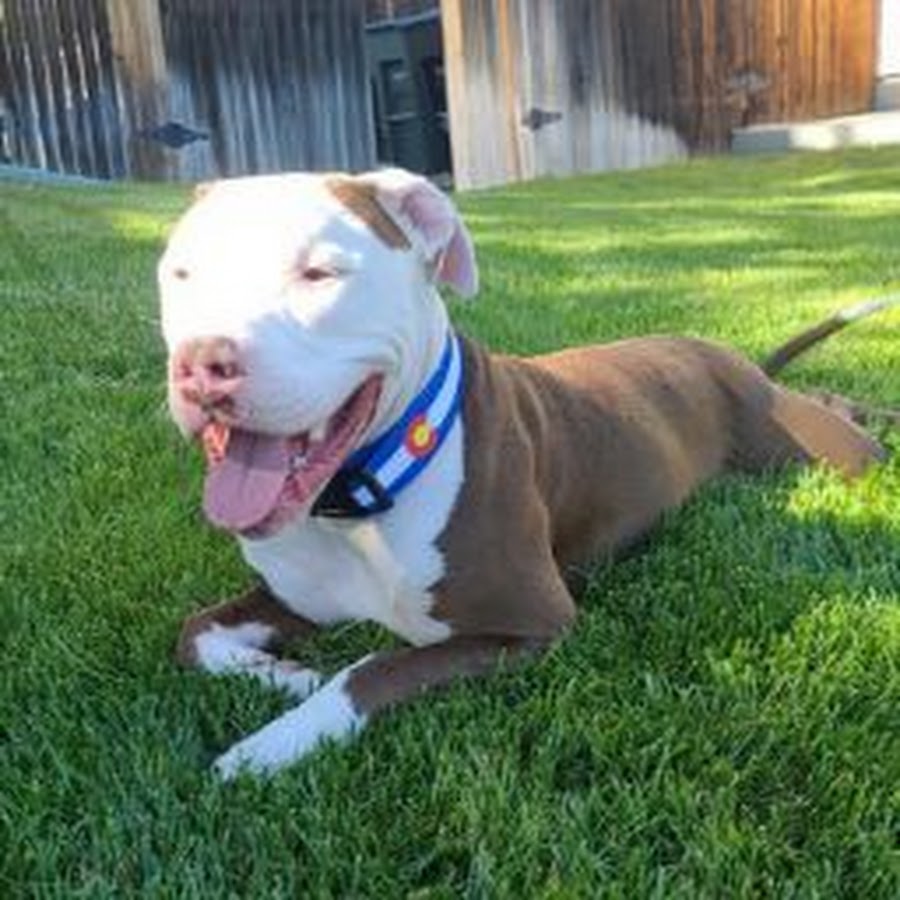 Emma Fiore - YouTube