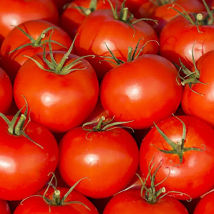 A tomatoes или some tomatoes. Some tomatoes. томат арт. помидоры сорт чиполлино. крупные помидоры.