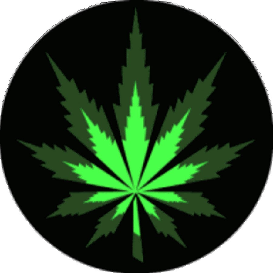 Картинки для худа самп