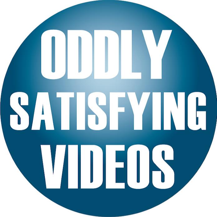 Mr. Curious Net Worth & Earnings (2026)