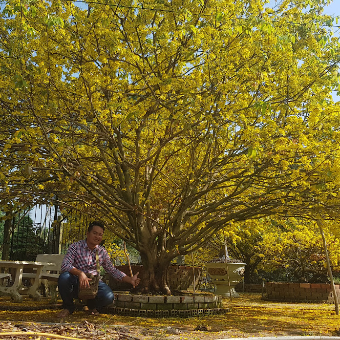 Cánh Đồng Miền Tây Net Worth & Earnings (2026)