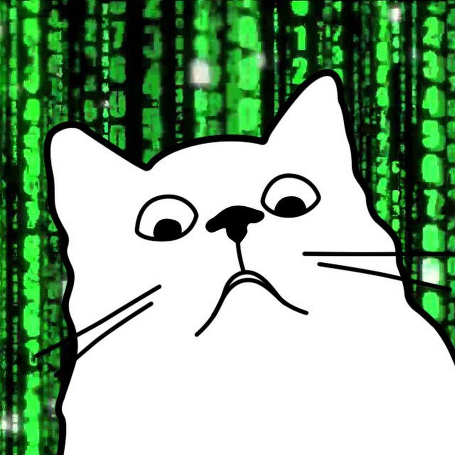 Канал телеграмм кошки. Кот программист. It котик. Котик Мем. Кот программист Мем.