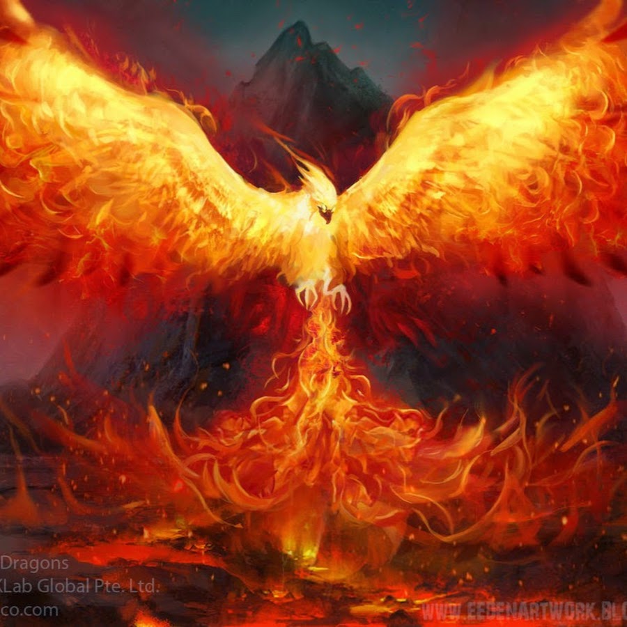 Collection of Phoenix PNG. | PlusPNG