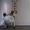 utubeham