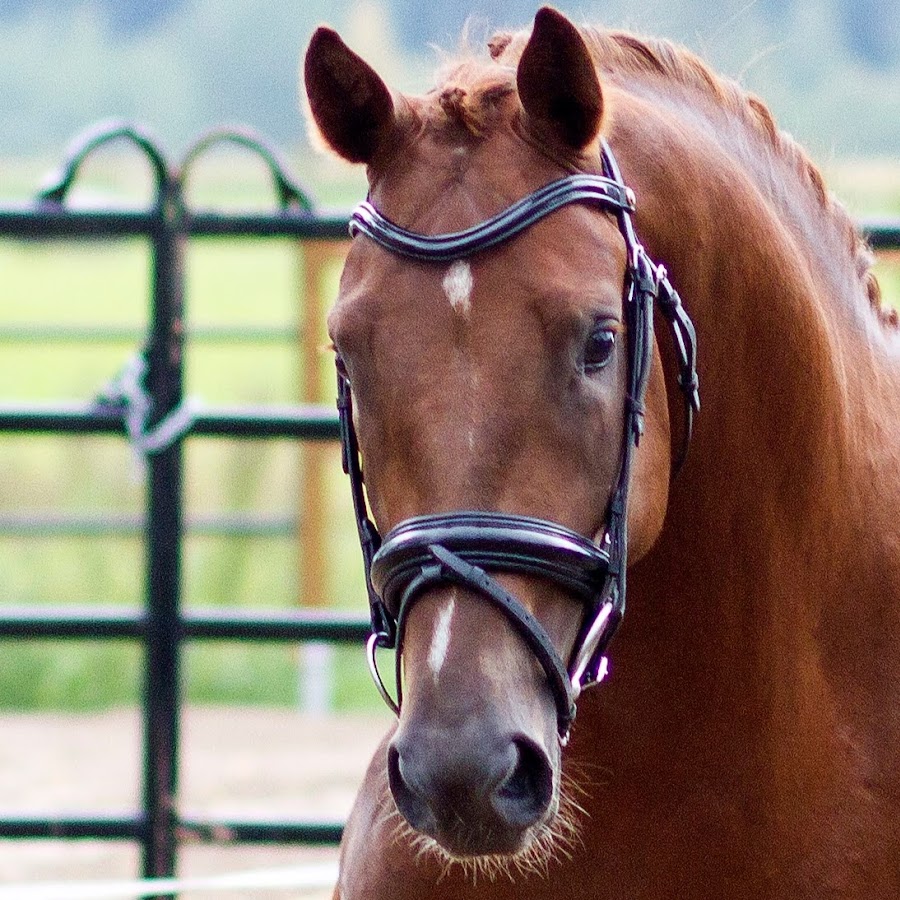 Riin Saare - YouTube