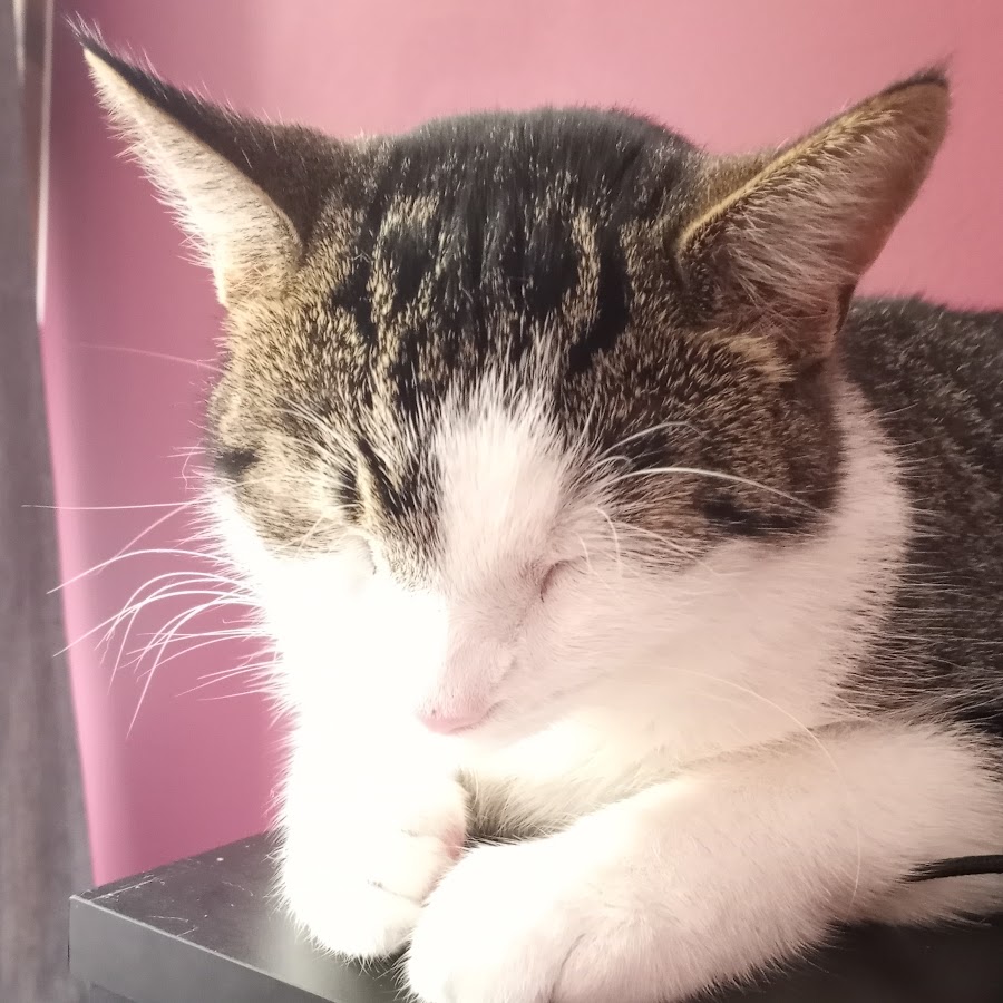 Силуэт города рисунок карандашом