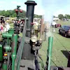 ddog7831