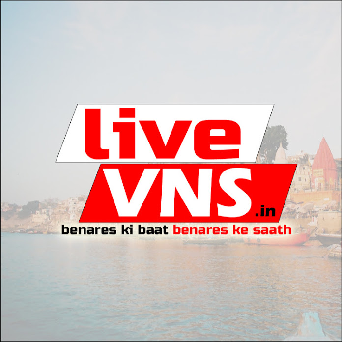 Live VNS Net Worth & Earnings (2024)