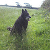 beowulf3075