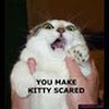 thecatofwisdom