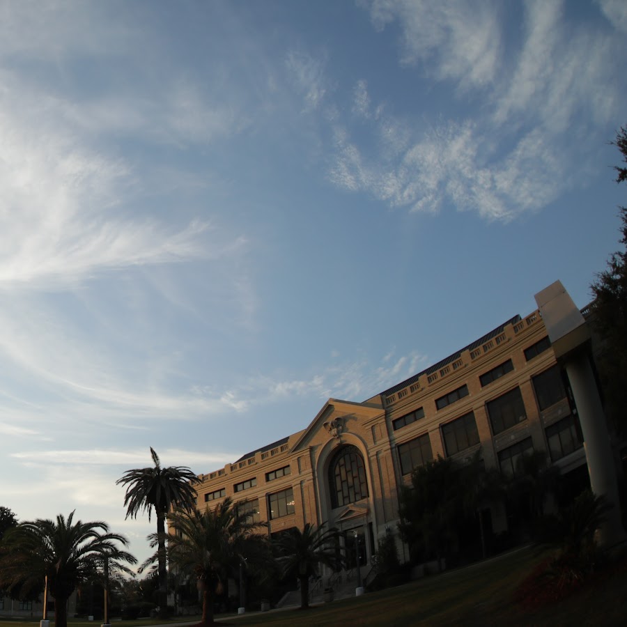Delgado Community College YouTube