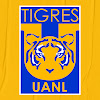 What could Tigres Oficial buy with $185.9 thousand?