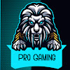 Pro Gaming