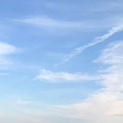 なんでもチャンネル