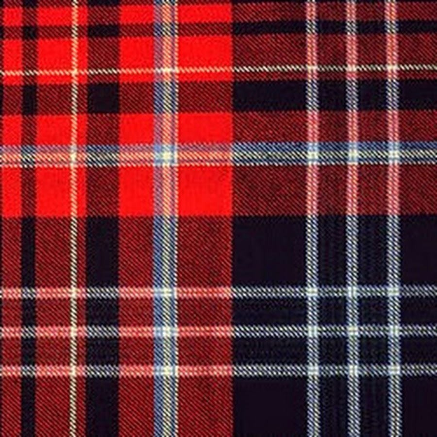 ornery stray - YouTube