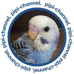 pipi-channel YouTube