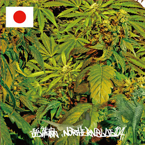 APHRODITE GANG YouTube