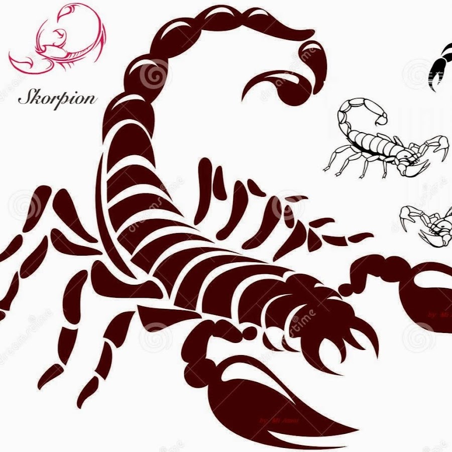Рисунок скорпиона карандашом
