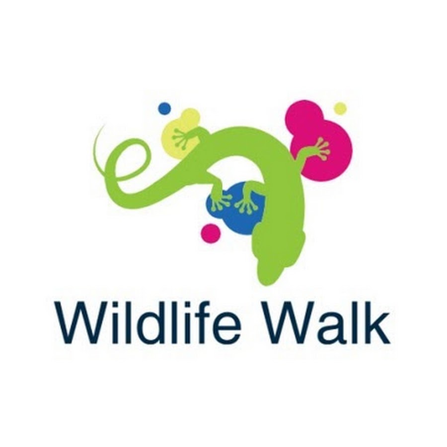 Wildlife Walk YouTube
