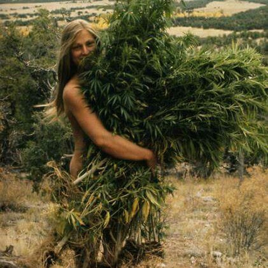 Nude women with marijuana plants, tiny tit fuck movie