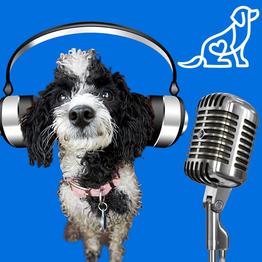 McCann Professional Dog Trainers Podcast YouTube