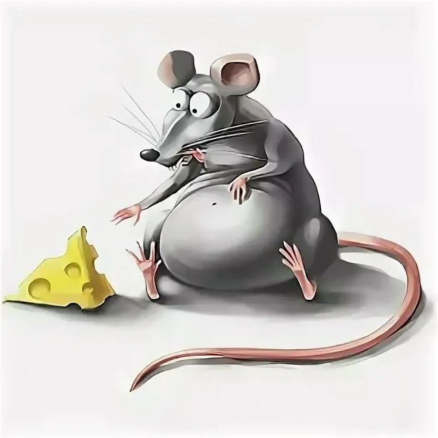 Жир мыши. Мышь прикольная. Толстая крыса. Миша толстый. Крыса в мультяшном стиле.