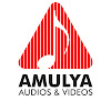 What could Amulya Audios and Videos buy with $2.5 million?