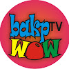 What could bakpWOW_TV buy with $100 thousand?