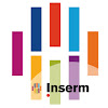 What could Inserm buy with $172.6 thousand?