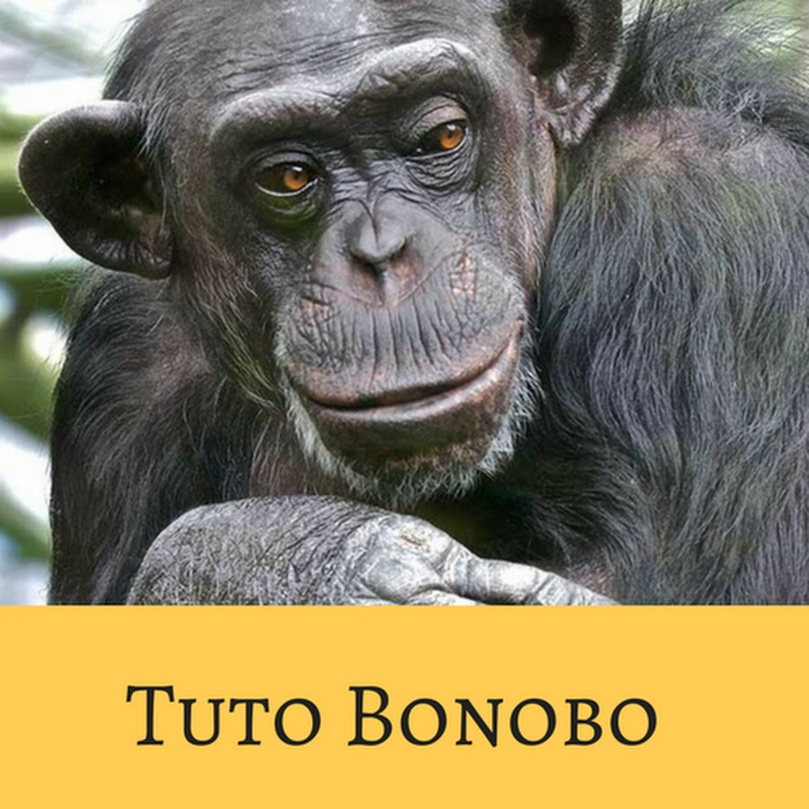 TUTO Bonobo YouTube