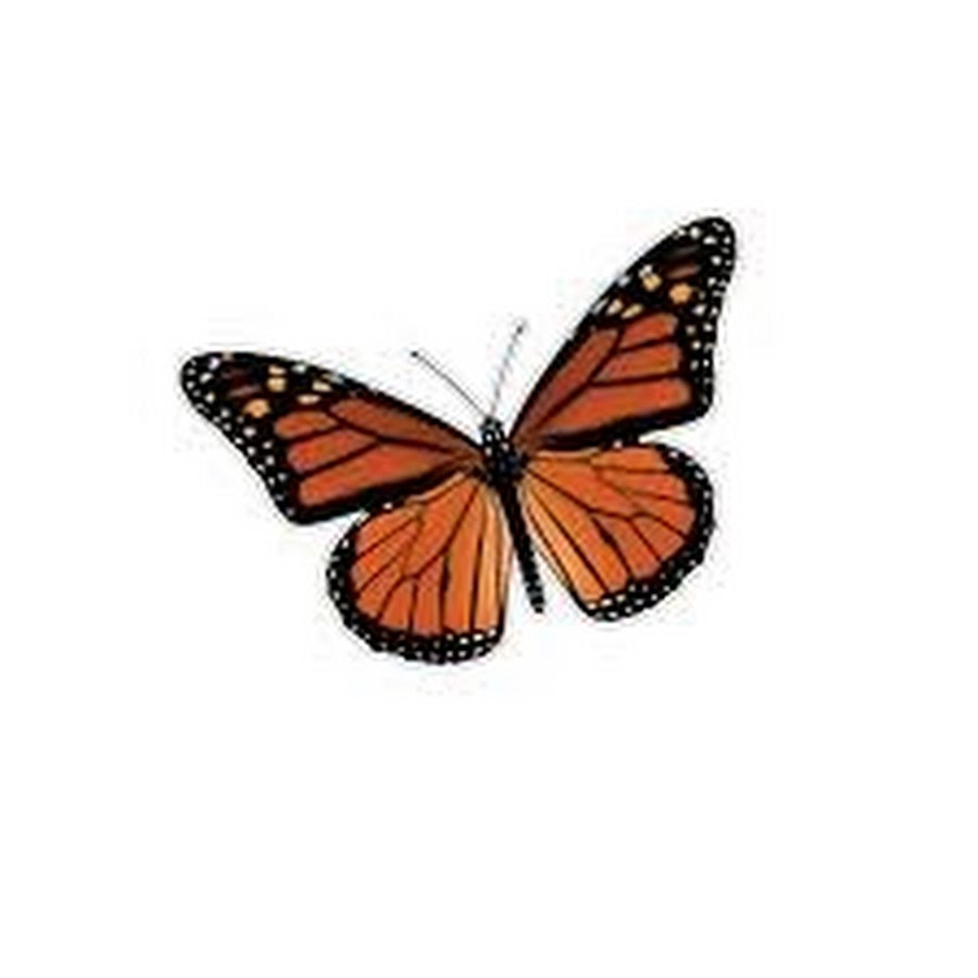 Бабочка скопировать. Наклейки "бабочки". Стикеры "бабочки". Стикер бабочка на прозрачном фоне. Бабочка стикер на прозрачном фоне для фотошопа.