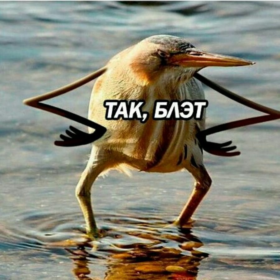 AGF-l7_nnPIpN191pFNGESKXc4ukUlpt8bdUZmmb