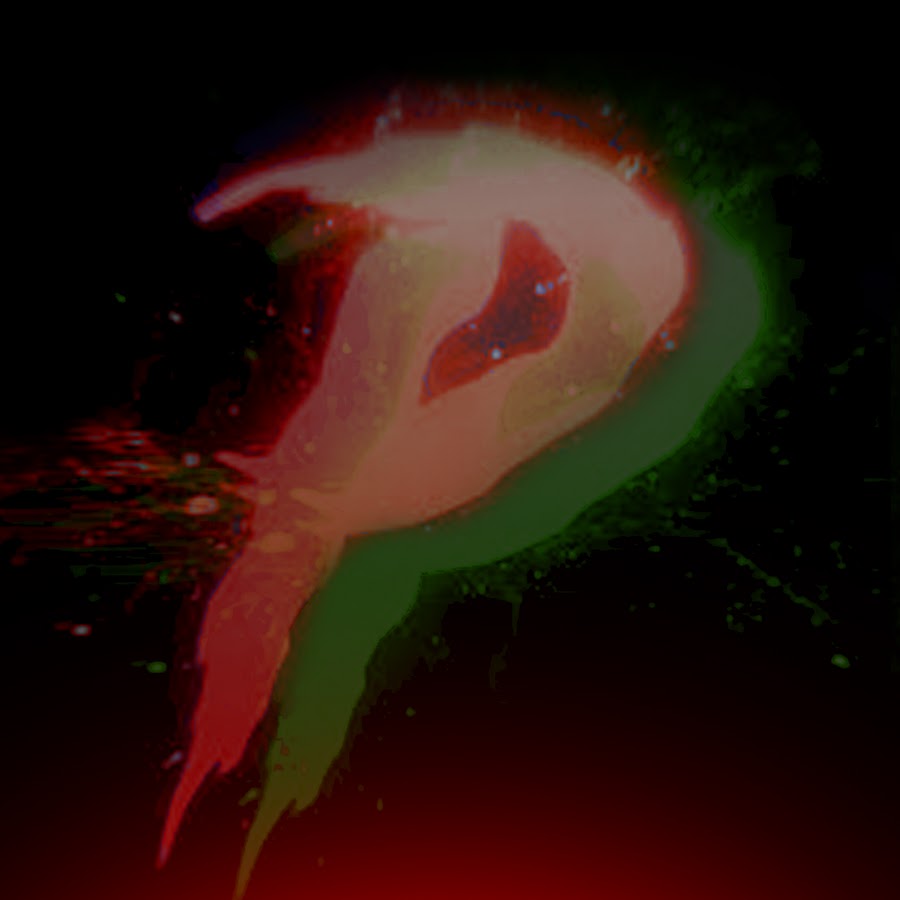 Phantom Exploits - YouTube Phantom Exploits - YouTube