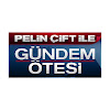 What could Pelin Çift ile Gündem Ötesi buy with $100 thousand?
