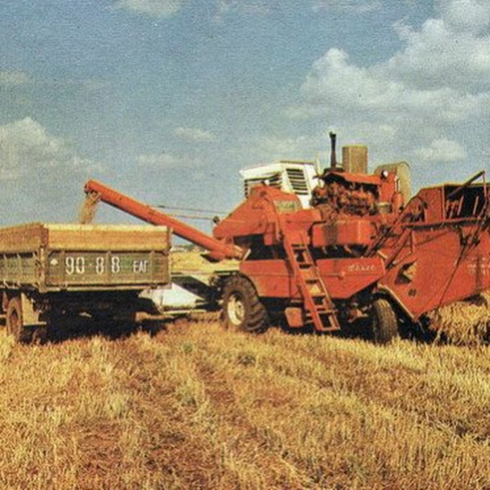 VITALIOX Комментарии Иностранцев Net Worth & Earnings (2026)