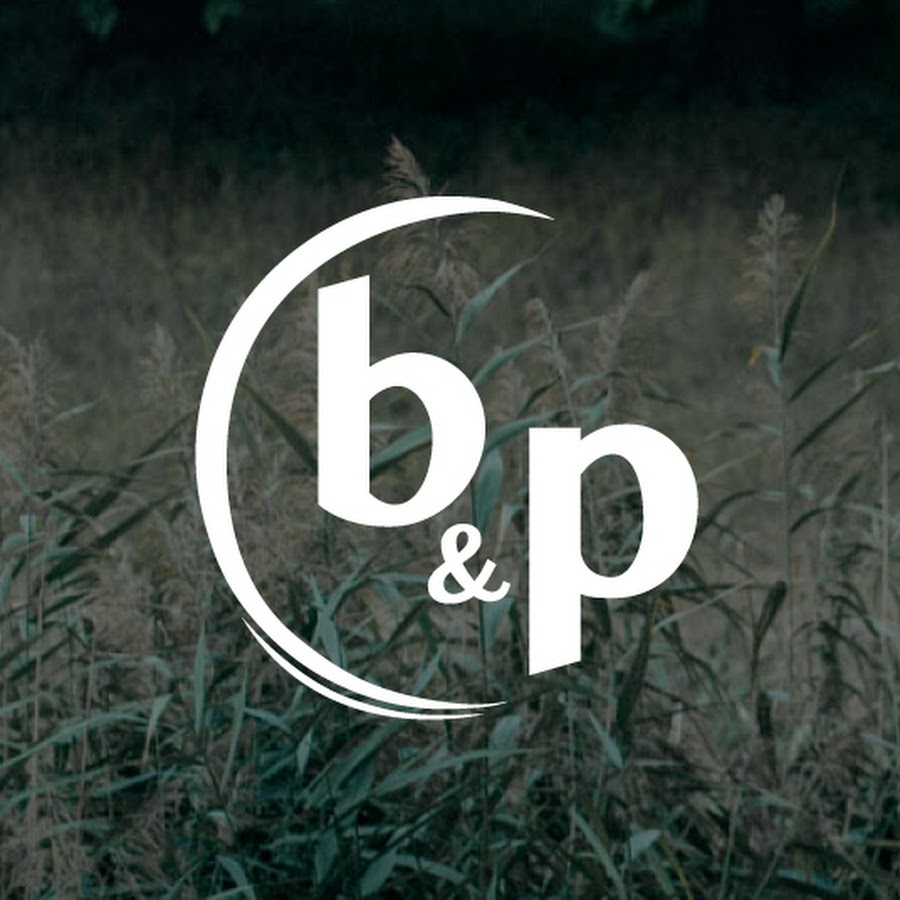 Эмблема пб. B p be. P лого. B p logo+. A.