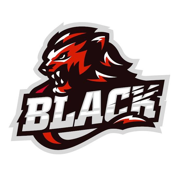 MaxBlack NBA/LP Net Worth & Earnings (2026)