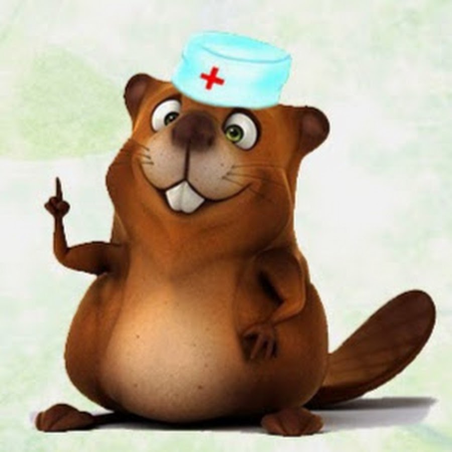 Медвежья желчь. Бобры доктор. Бобр повар. Бобры доктор. Бобр из шерсти валяние.