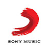 What could 台灣索尼音樂 Sony Music Taiwan buy with $1.08 million?