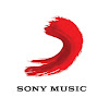 What could 台灣索尼音樂 Sony Music Taiwan buy with $1.1 million?