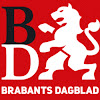 What could brabantsdagblad buy with $100 thousand?