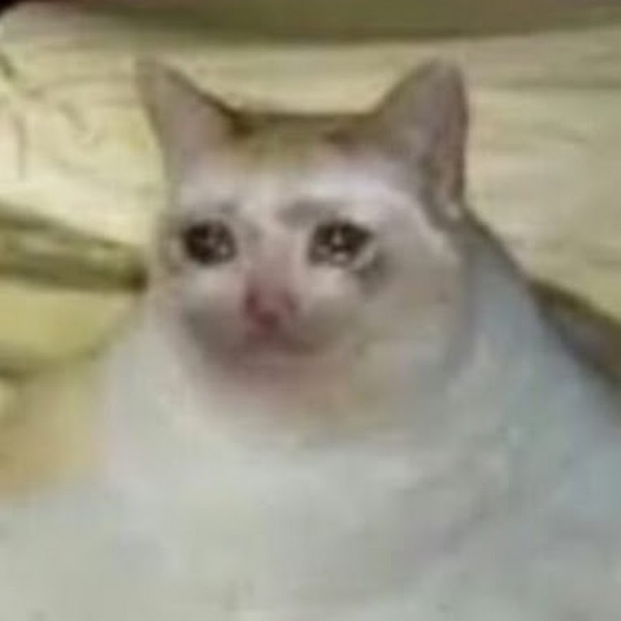 Плачущий кот