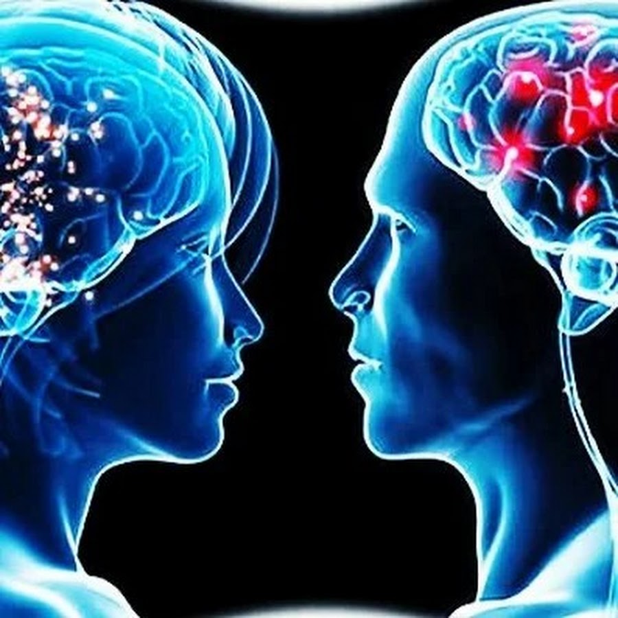 Мышление мужчины женщины. Мозг женщины. Восприятие мужчин и женщин. Мужской и женский мозг. Мозг мужчины и женщины.