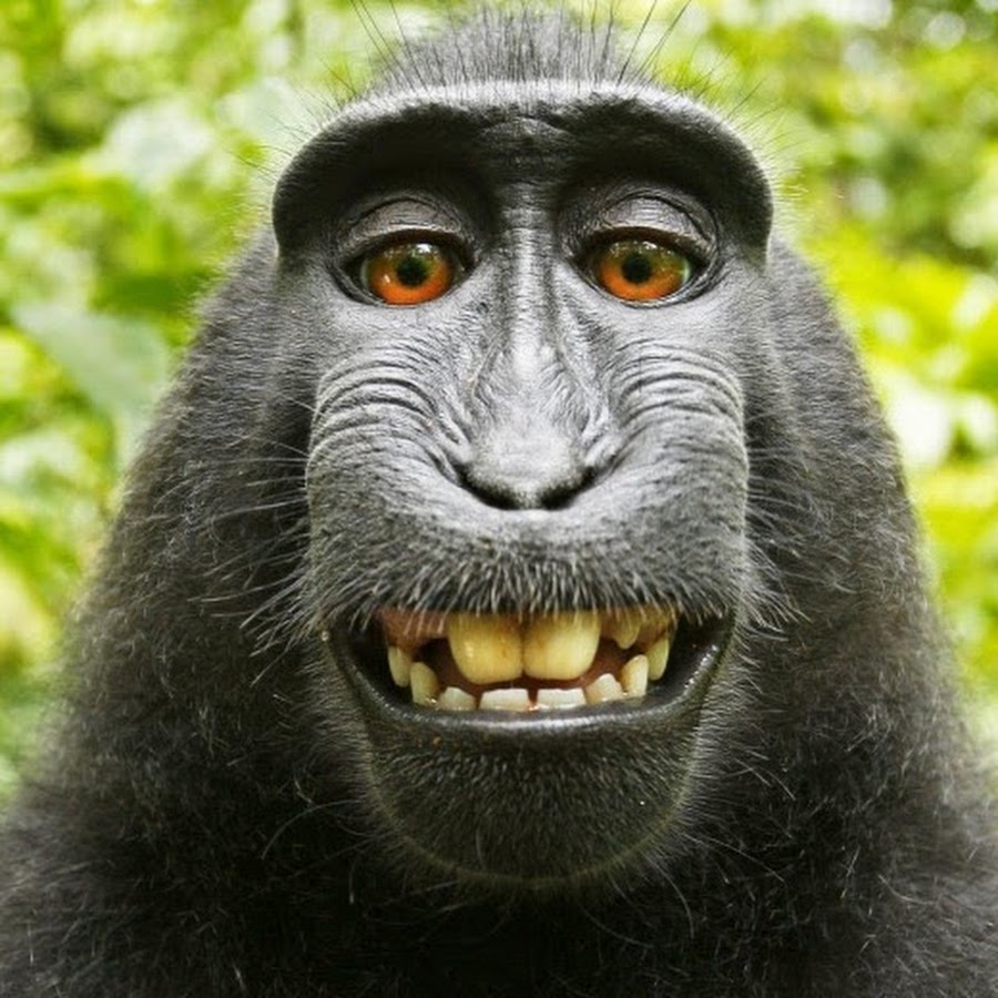 hodila-vsegda-golaya-video