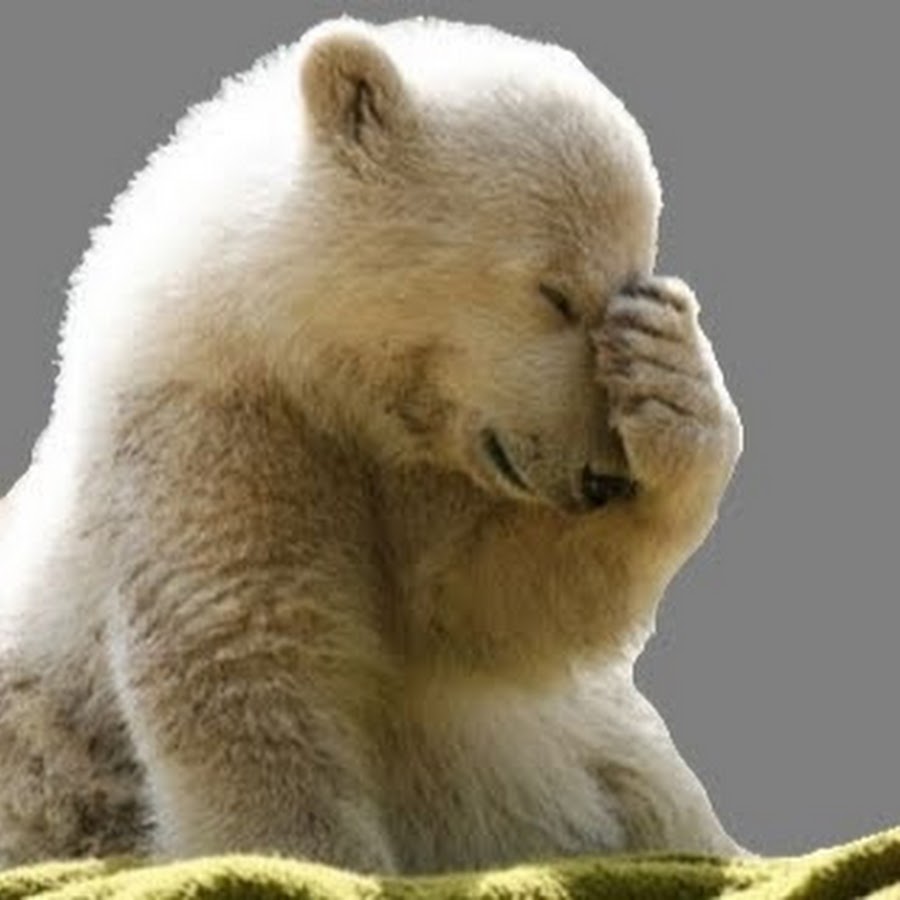 ���, ���������� �������� � ���� �������