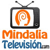 What could Mindalia Televisión buy with $1.92 million?