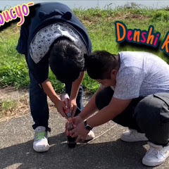DenkokuGames :