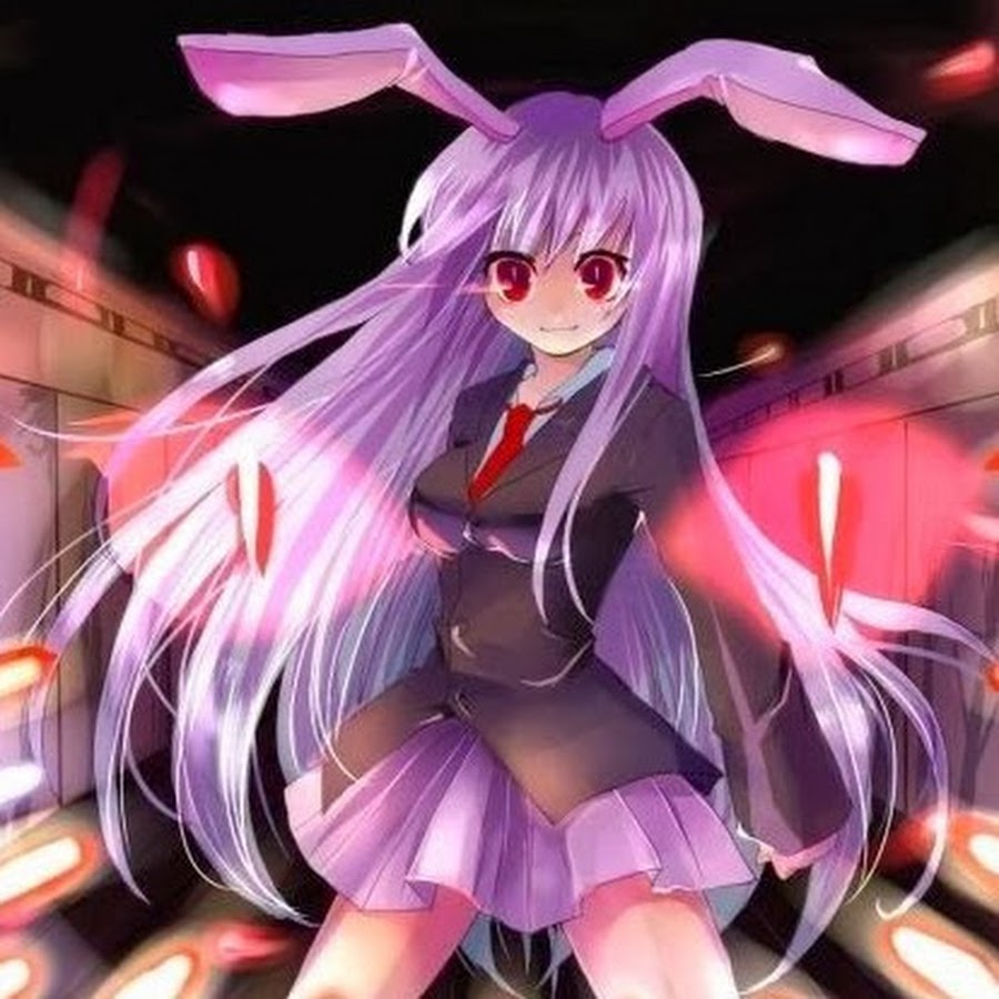 Рейсен инаба 18. О. Рейзен 3. Рейзен удонгейн инаба. Udongein inaba.